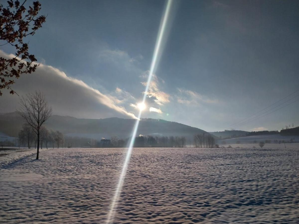 Ferienhaus Lena Im Sauerland Direkt Am Hennesee Meschede Kültér fotó