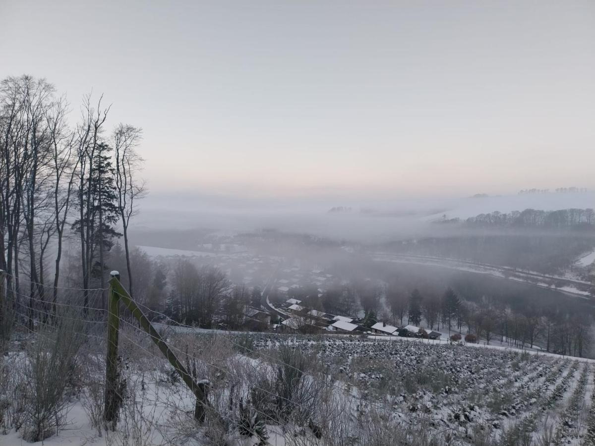 Ferienhaus Lena Im Sauerland Direkt Am Hennesee Meschede Kültér fotó